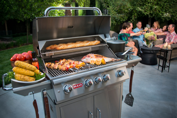 How to Choose the Perfect Barbecue for Your Grilling Adventures | D ...